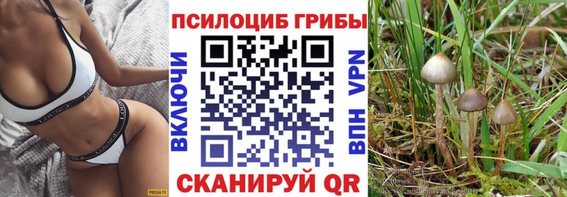 Галлюциногенные грибы мицелий наркота МЕГА ССЫЛКА Янаул