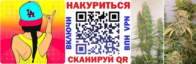 ОМГ ОМГ как войти дарнет шоп Янаул Бошки марихуана сатива